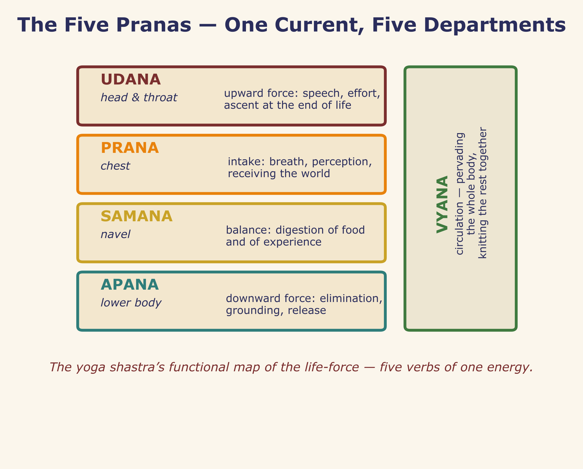 Prana, apana, samana, udana, vyana, one life-force, five functional departments.